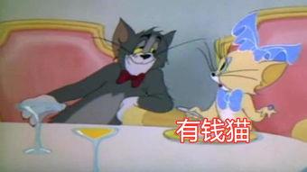 猫和老鼠s2爆料视频,经典角色新篇章,笑料百出引期待 第1张 猫和老鼠s2爆料视频,经典角色新篇章,笑料百出引期待 第1张